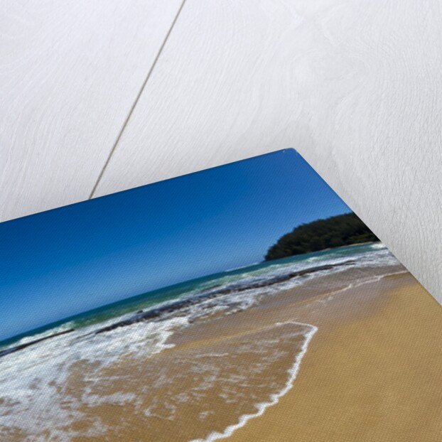 Pristine sand Beaches of Kauai Hawaii by Anonymous