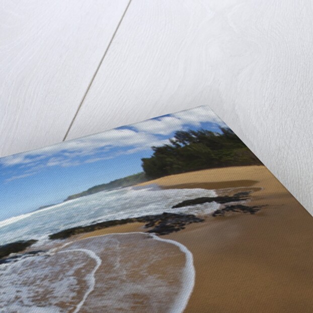 Pristine sand beaches of Kauai, Hawaii by Anonymous