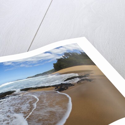 Pristine sand beaches of Kauai, Hawaii by Anonymous