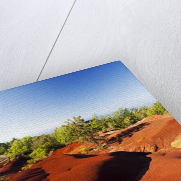 Red earth area of the Waimea Canyon by Anonymous