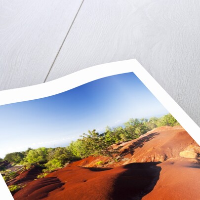 Red earth area of the Waimea Canyon by Anonymous