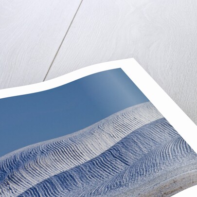 Patterns in snow covered wheat fields by Anonymous