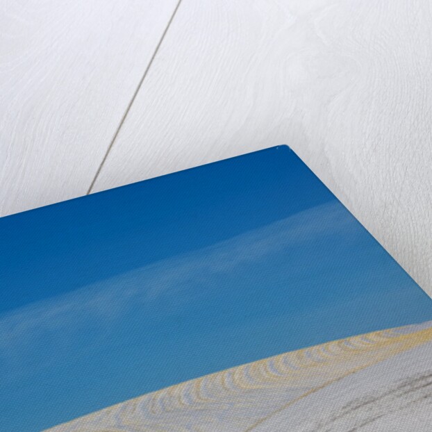 Patterns in snow covered wheat fields by Anonymous