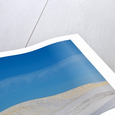 Patterns in snow covered wheat fields by Anonymous