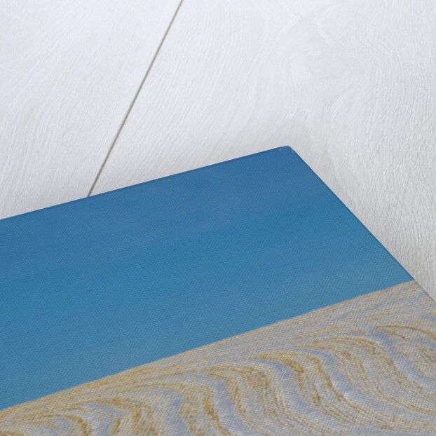 Patterns in snow covered wheat fields by Anonymous