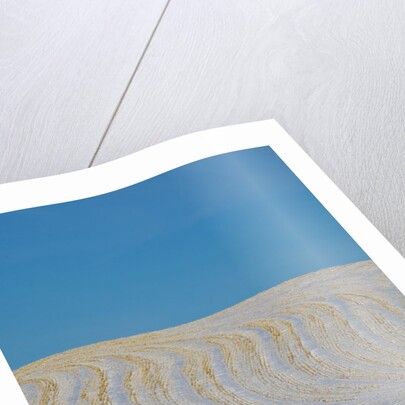 Patterns in snow covered wheat fields by Anonymous