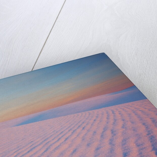 Sunset and patterns in snow covered wheat fields by Anonymous