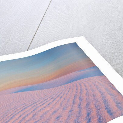 Sunset and patterns in snow covered wheat fields by Anonymous