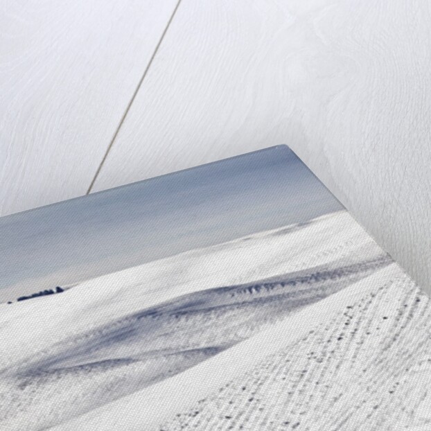 Patterns in snow covered wheat fields by Anonymous