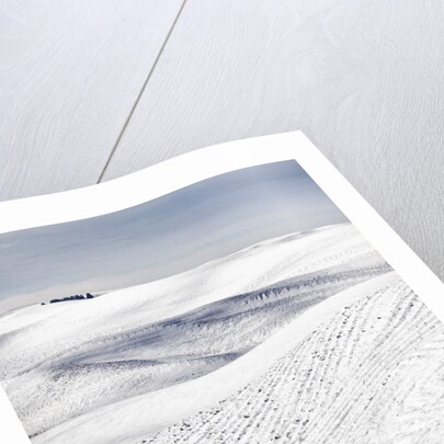 Patterns in snow covered wheat fields by Anonymous