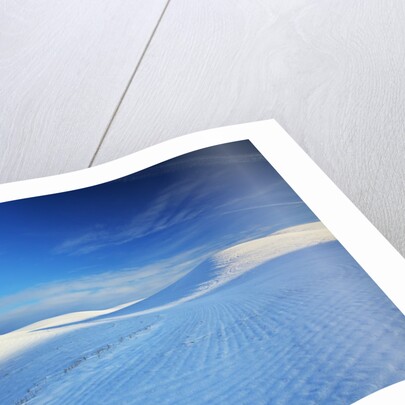 Patterns in snow covered wheat fields by Anonymous