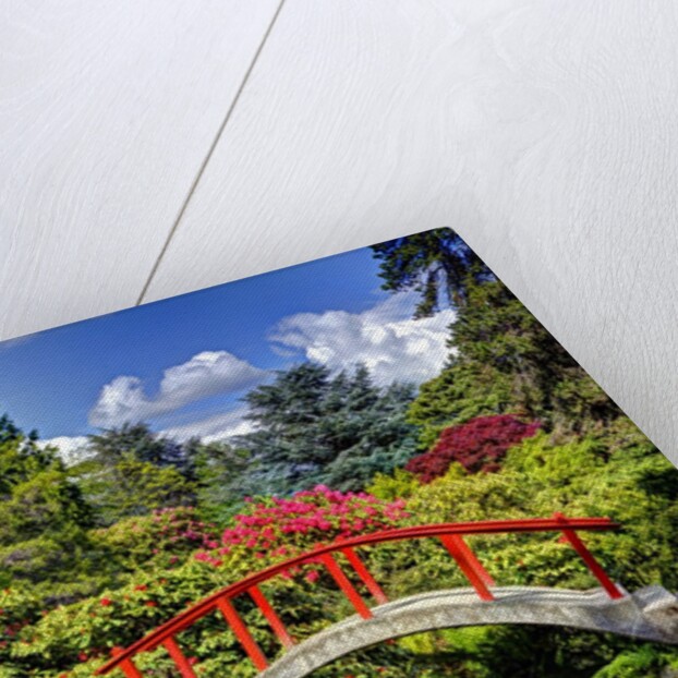 Kabota Gardens in Seattle by Anonymous