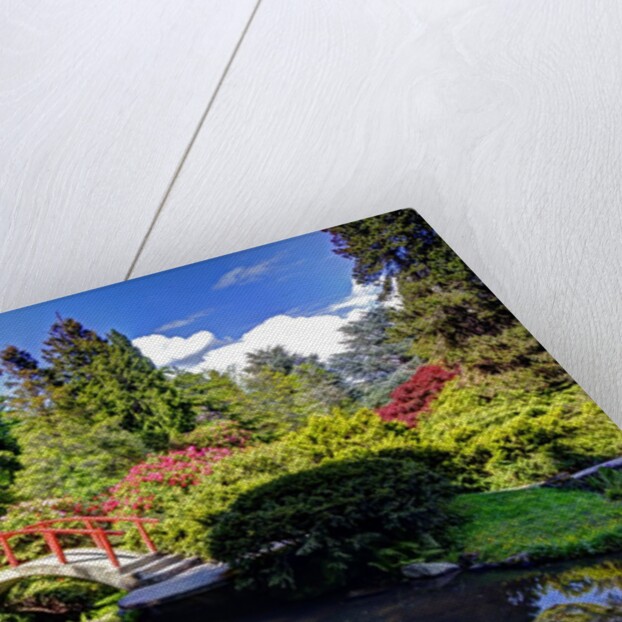 Kabota Gardens in Seattle by Anonymous