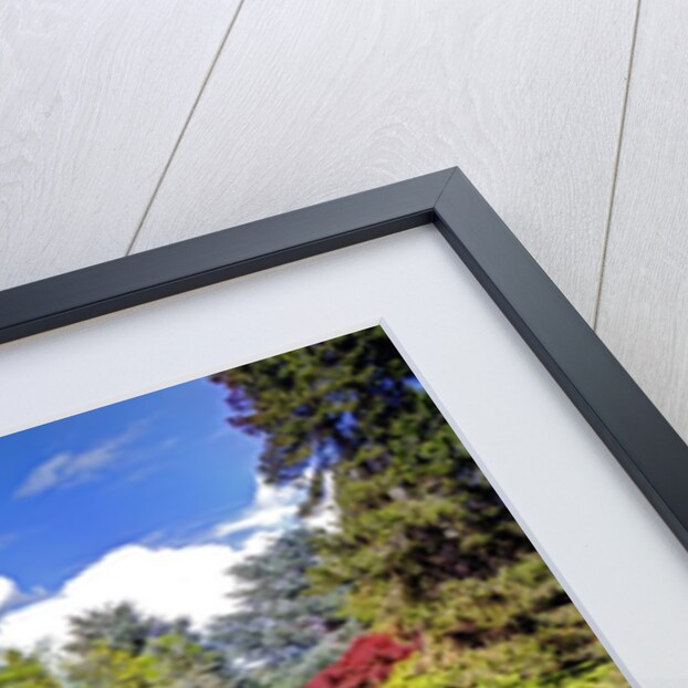 Kabota Gardens in Seattle by Anonymous