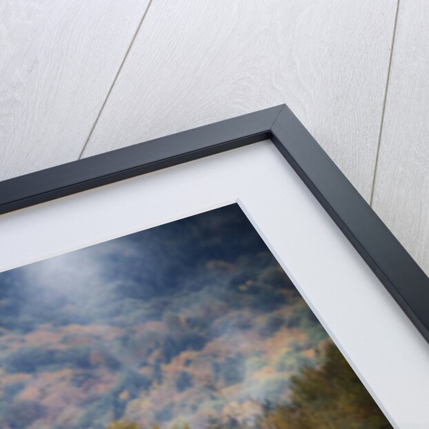 Big leaf maples lining the Skagit River by Anonymous