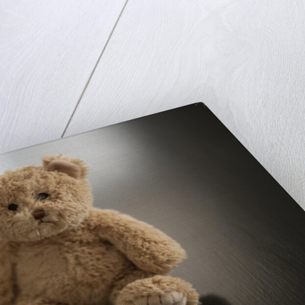 Studio shot of teddy bear by Anonymous