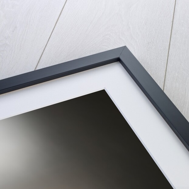 Studio shot of teddy bear by Anonymous