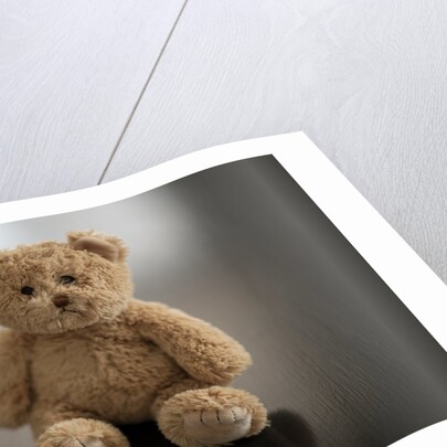 Studio shot of teddy bear by Anonymous