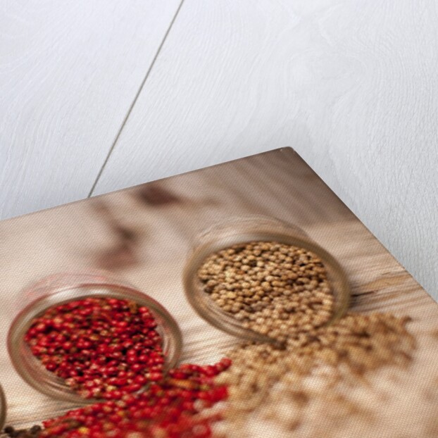 Black, red, and white pepper corns in rustic mason jars by Anonymous