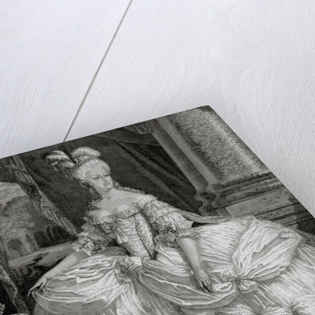 Marie Antoniette (1755-1793). Wife of Louis XVI and Queen of France (1774-92) by Anonymous