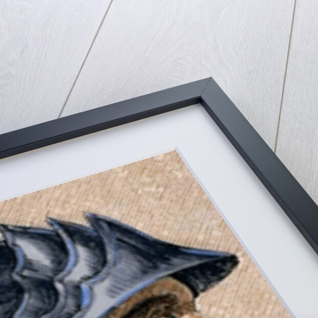 Theodoric II. (died 466). Was the eight of Visigoths from 543 to 466. Engraving. Colored by Anonymous