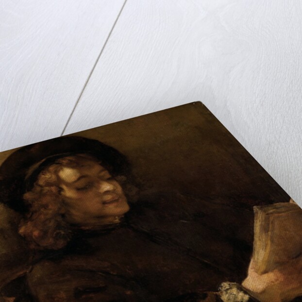 Titus van Rijn, the Artist's Son, Reading by Rembrandt van Rijn