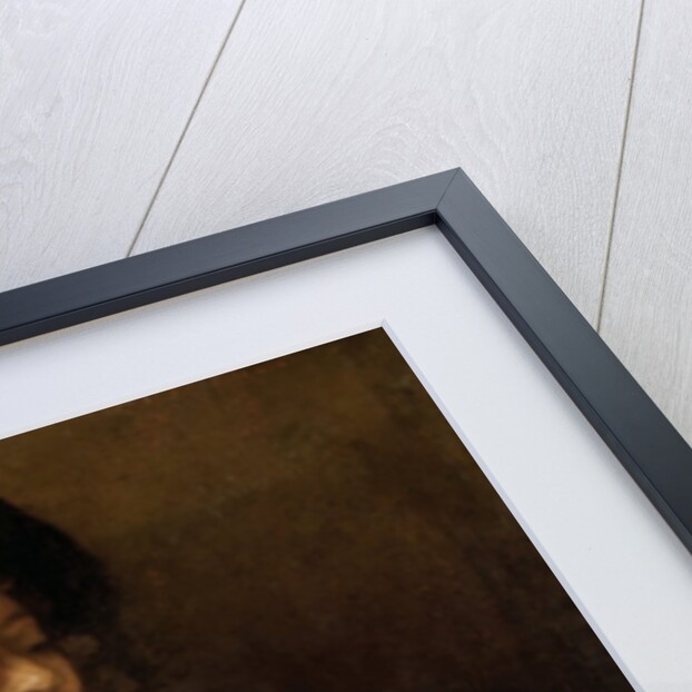 Titus van Rijn, the Artist's Son, Reading by Rembrandt van Rijn