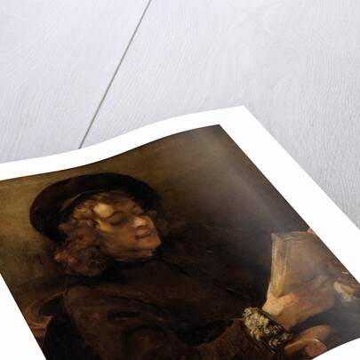 Titus van Rijn, the Artist's Son, Reading by Rembrandt van Rijn