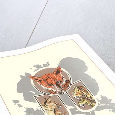 Fox, Lynx, Cougar and Squirrel Graphic by Anonymous