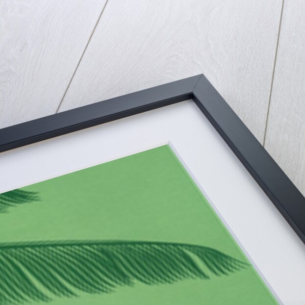 Palm fronds by Anonymous