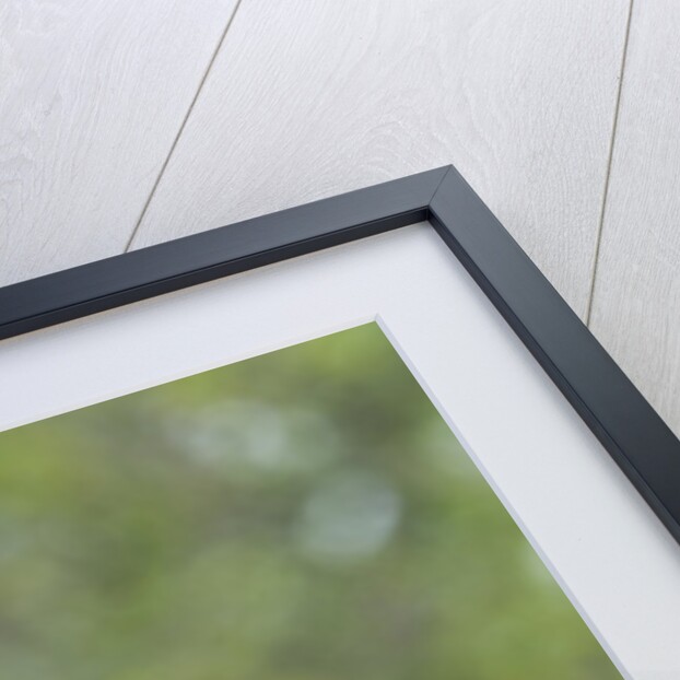 Bronzed Cowbird perching on tree trunk by Anonymous