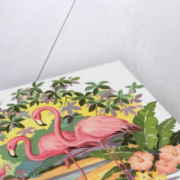 Flamingos in the Tropics by Anonymous