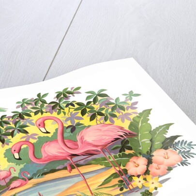 Flamingos in the Tropics by Anonymous