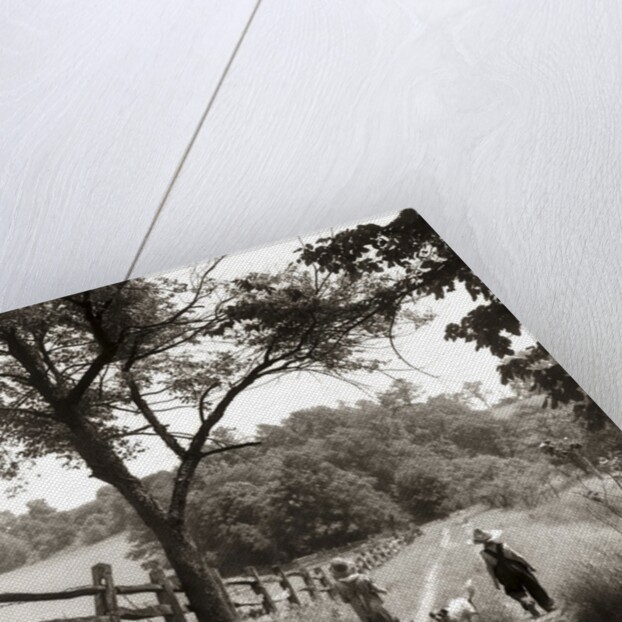 1930s boy and girl in straw hats walking down farm road by Anonymous