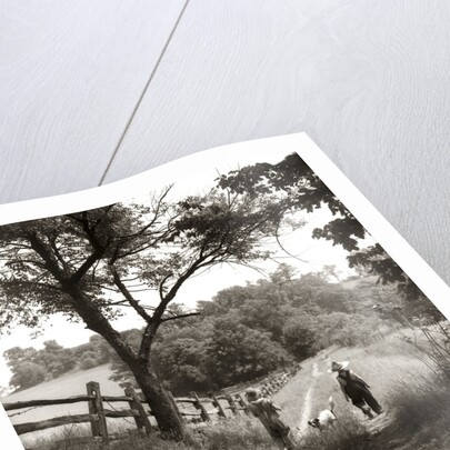 1930s boy and girl in straw hats walking down farm road by Anonymous