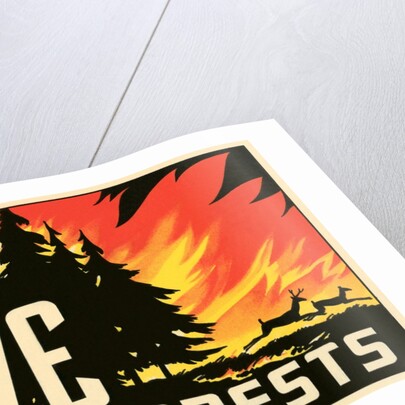 Save Your Forests Poster by Anonymous