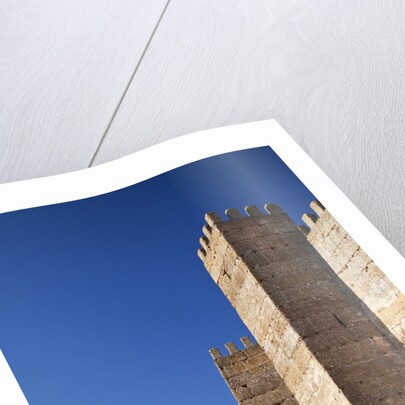 Burgalimar Castle in Andalusia, Spain by Anonymous