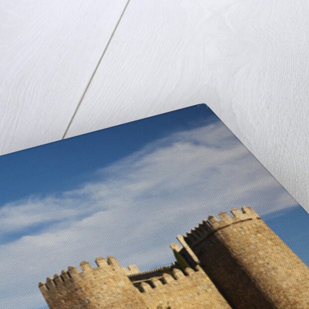 Walls of Avila in Spain by Anonymous