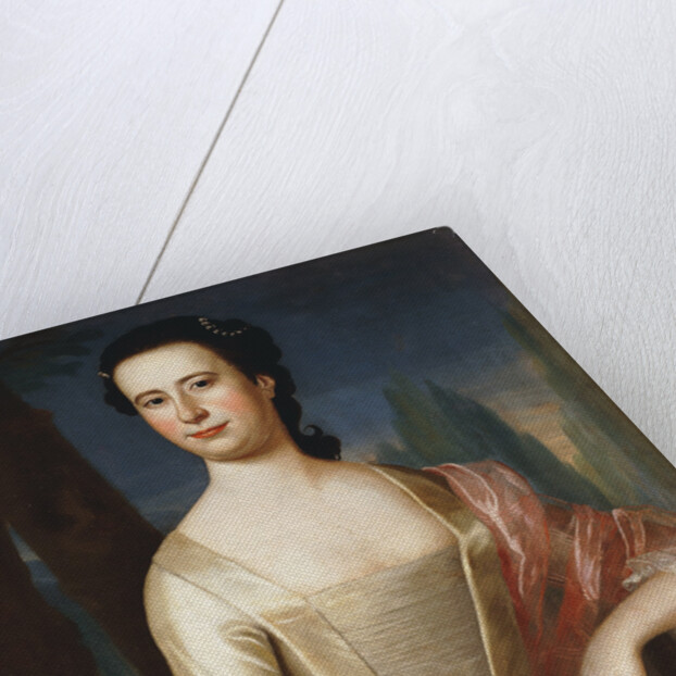 Portrait of a Woman by John Singleton Copley