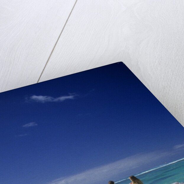 couple Sitting On A Pier In An Ocean Lagoon by Anonymous