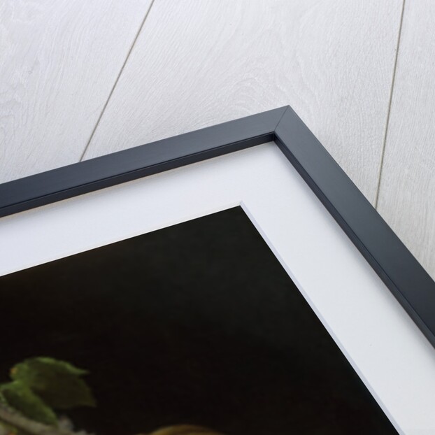 Melons, Peaches and Grapes by John F Francis