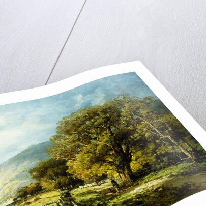 A Stroll Along the River by Andrew Melrose