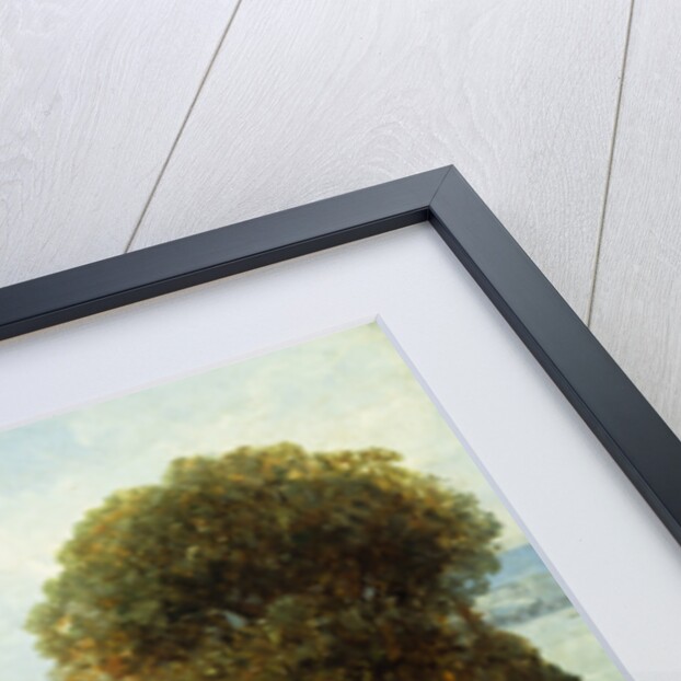 View of Washington, D.C by Andrew Melrose