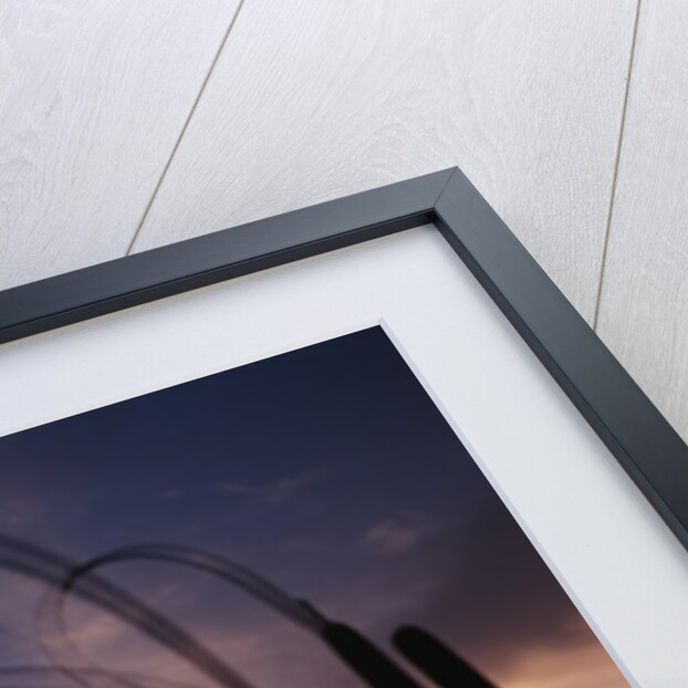1980s silhouetted ducks flying in sunset by Anonymous