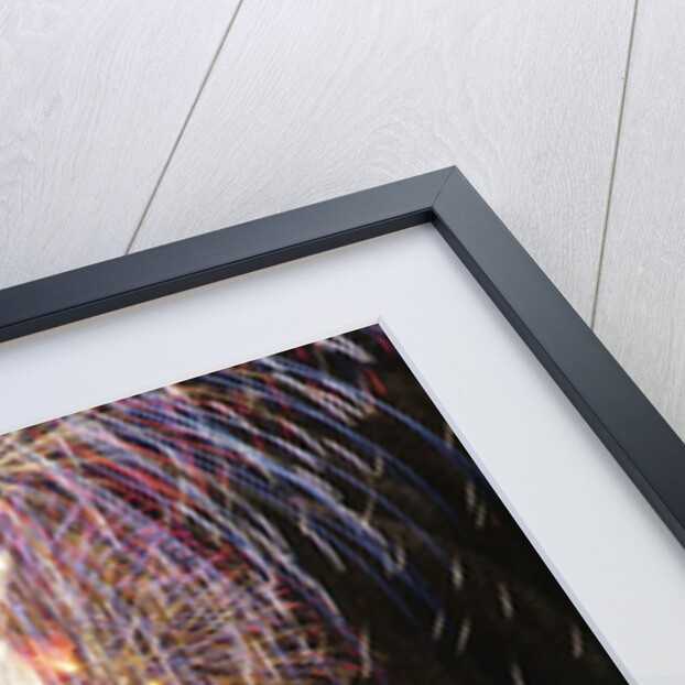 1980s Statue of Liberty fireworks NYC by Anonymous