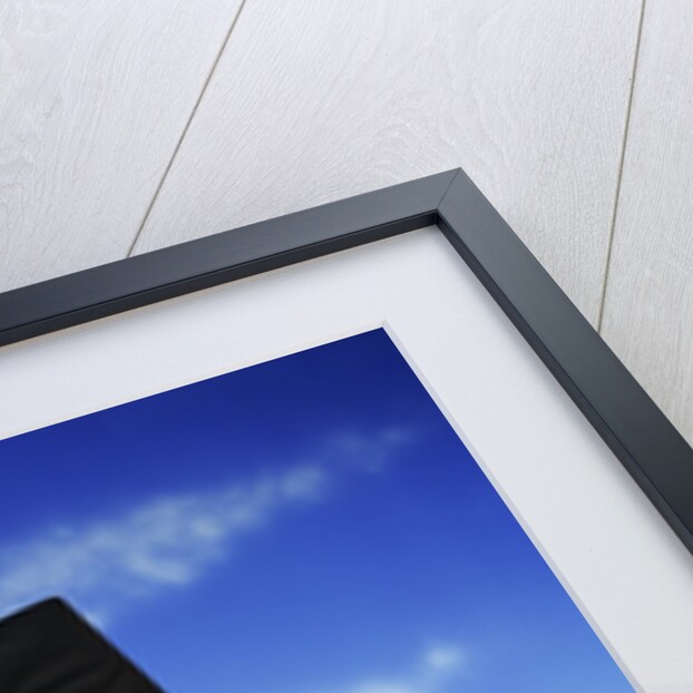 Graduate tossing mortarboard hat into the air by Anonymous