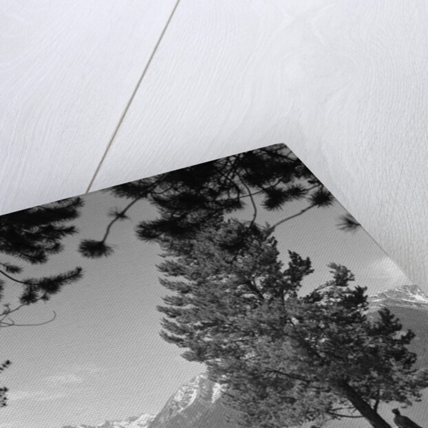 1950s family station wagon and camper at Jackson Lake, Wyoming by Anonymous