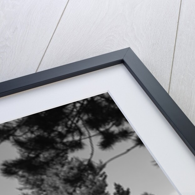 1950s family station wagon and camper at Jackson Lake, Wyoming by Anonymous