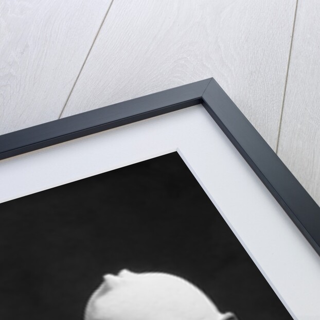 1920s 1930s doctor and two nurses wearing surgical masks by Anonymous