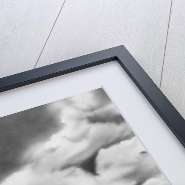 1860s 1870s line of covered wagons crossing American plains by Anonymous